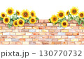sunflower 130770732