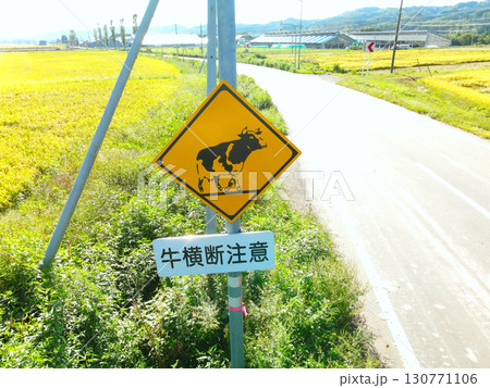 初秋の北海道厚沢部町で道路標識のある風景を撮影 130771106