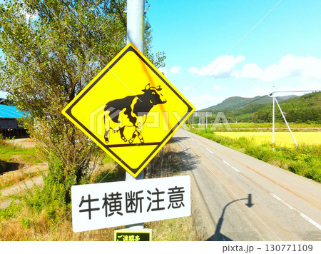 初秋の北海道厚沢部町で道路標識のある風景を撮影 130771109