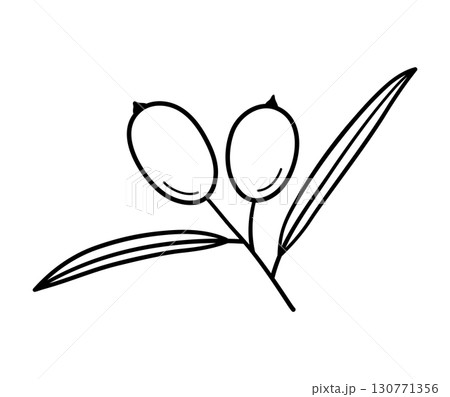 Sea buckthorn. Hand drawn sketch icon of berry. Isolated vector illustration in doodle line style. 130771356