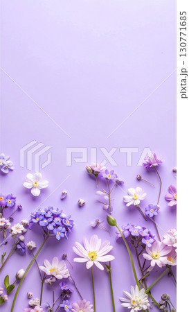 シンプルな紫色の背景 花が散りばめられている シンプルな紫色の背景 花が散りばめられている 130771685