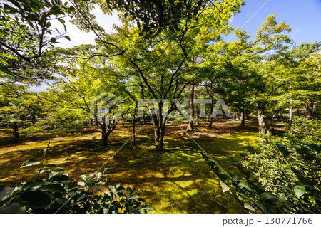 Kinkakuji Temple (The Golden Pavilion) in Kyoto, Japan 130771766