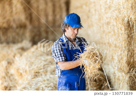 Male worker inspect straw in storage Male worker inspect straw in storage 130771839