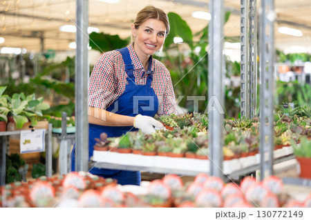 Saleswoman in flower shop gets acquainted with assortment of succulent and examines plants 130772149