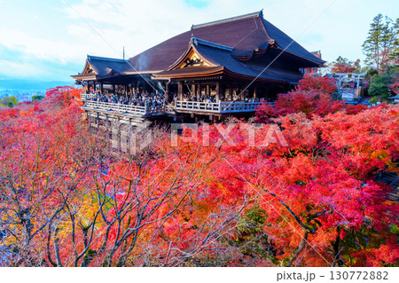 清水寺の紅葉と舞台 130772882