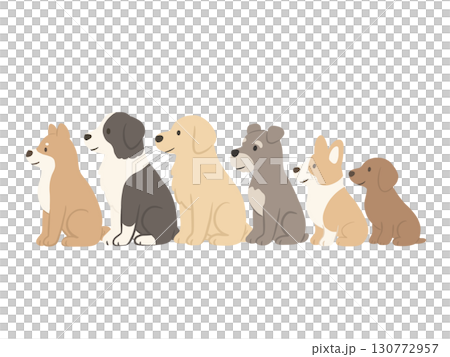 狗狗排隊的插圖 130772957