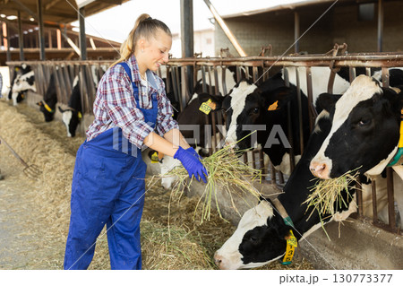 Positive girl farmer takes armful of straw from pile and gives it to cows. 130773377