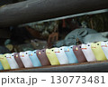 京都府_護王神社 130773481