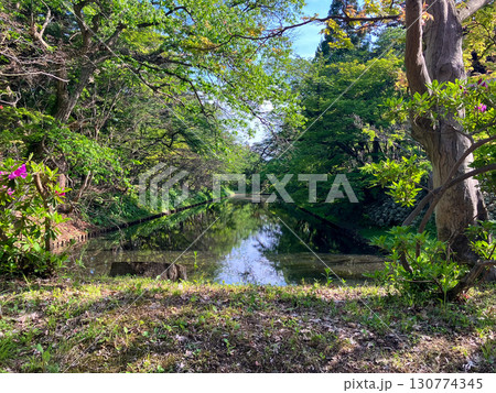 弘前城 鷹揚公園 弘前城 鷹揚公園 130774345