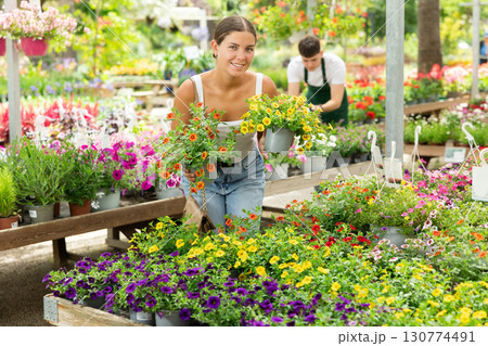 Girl choosing potted flowers calibrachoa (million bells) at flower sale at flower market sale Girl choosing potted flowers calibrachoa (million bells) at flower sale at flower market sale 130774491