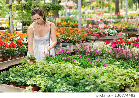 Female shopper carefully selects hedera flowers at flower market 130774492