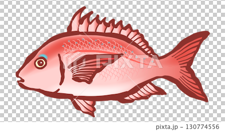 A brush drawing of the fish "Tai." Red sea bream, red sea bream, sea bream. A brush drawing of the fish "Tai." Red sea bream, red sea bream, sea bream. 130774556