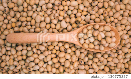 Closeup of raw soybeans in wooden spoon placed on a heap of soybeans. Useful for illustrating organic legumes, natural protein sources 130775837
