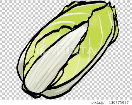 Chinese cabbage illustration (brush strokes, vegetables) Simple Chinese cabbage illustration (brush strokes, vegetables) Simple 130775937