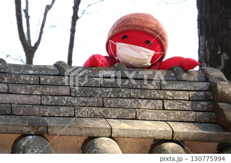 石垣の向こうから、こんにちは 石垣の向こうから、こんにちは 130775994