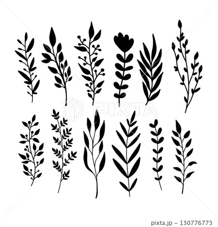 Set of hand drawn floral branches. Design element for decoration. Vector illustration 130776773