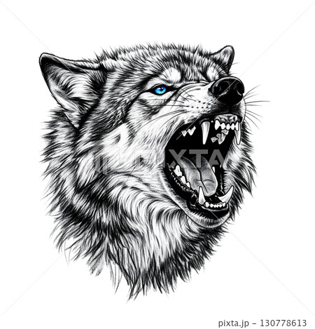 Fierce-looking wolf displays sharp fangs and intense blue eyes while growling. Isolated on a transparent background, it captures the wild essence and power of this majestic creature. 130778613