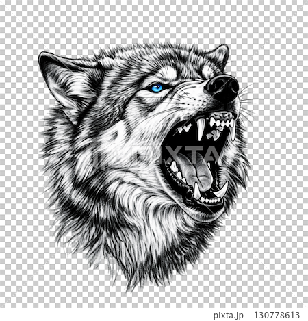 Fierce-looking wolf displays sharp fangs and intense blue eyes while growling. Isolated on a transparent background, it captures the wild essence and power of this majestic creature. 130778613