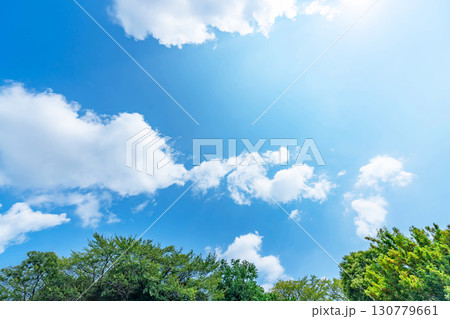 青空と雲と木立 青空と雲と木立 130779661