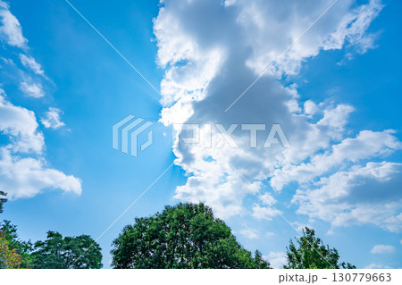 青空と雲と木立 130779663