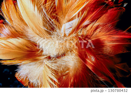 Colorful Rooster Feather Duster hanging in New Taipei City Market. 130780432