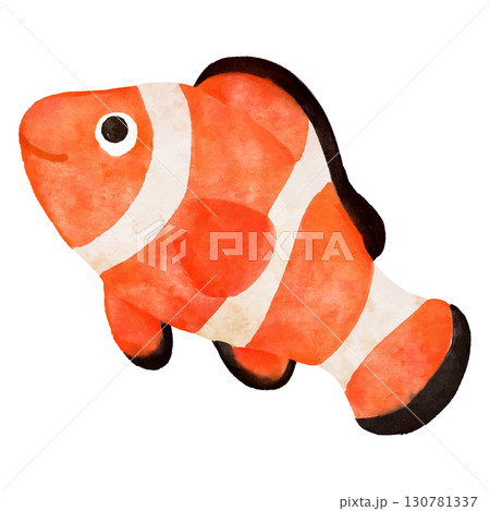シンプルで可愛いクマノミのイラスト　水彩 130781337