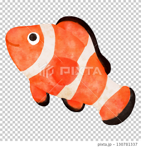 シンプルで可愛いクマノミのイラスト　水彩 130781337