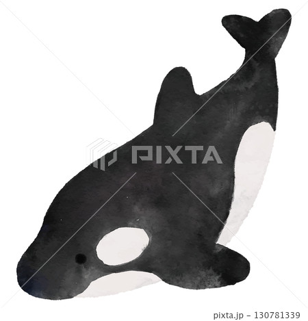 シンプルで可愛いシャチのイラスト　水彩 130781339