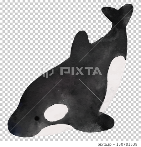 シンプルで可愛いシャチのイラスト　水彩 130781339