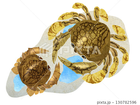 ビーチの可愛い生物キンセンガニの切り絵貼り絵イラスト背景 130782596