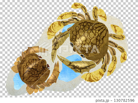 ビーチの可愛い生物キンセンガニの切り絵貼り絵イラスト背景 130782596