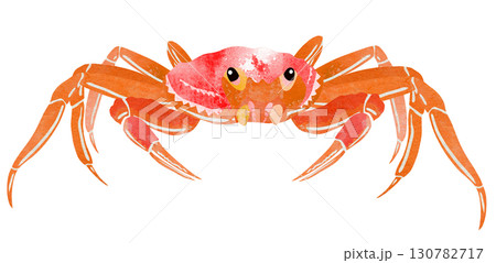 美味しいズワイガニの切り絵貼り絵イラスト 130782717