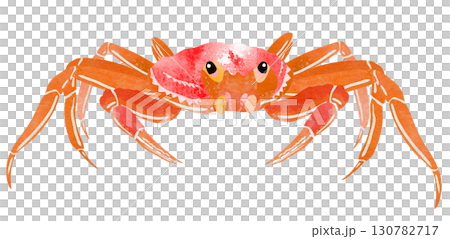 美味しいズワイガニの切り絵貼り絵イラスト 130782717