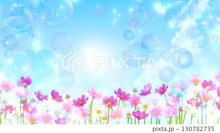 青空と白い雲とコスモス 青空と白い雲とコスモス 130782735