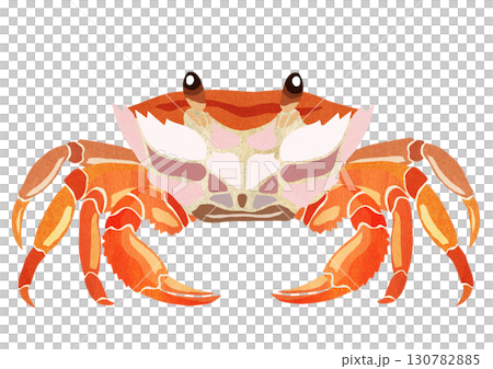 海灘生物螃蟹紙剪紙插圖 130782885
