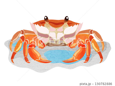 ビーチの可愛い人気者カニの切り絵貼り絵イラスト背景有り 130782886