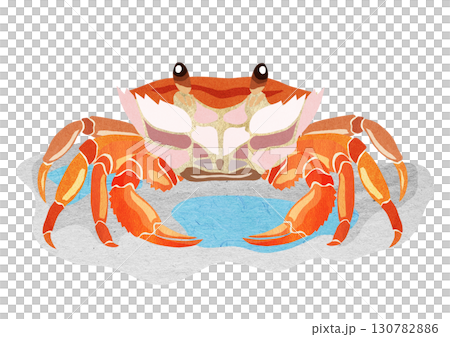 Cute and popular beach crab paper cutout illustration with background 130782886