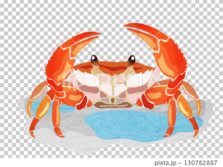 帶有背景的流行海灘蟹紙剪紙插圖 130782887