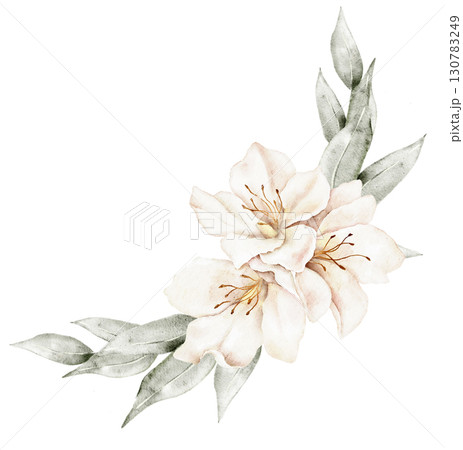 Watercolor floral composition with two beige blossoms and soft green foliage, arranged in elegant curved style. Part of a large floral bouquet set. Perfect for wedding invitation, greeting card, packa Watercolor floral composition with two beige blossoms and soft green foliage, arranged in elegant curved style. Part of a large floral bouquet set. Perfect for wedding invitation, greeting card, packa 130783249