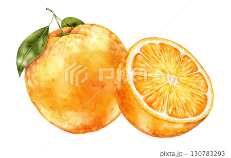 Watercolor illustration of whole orange fruit with half slice and green leaves on white background. Fresh and colorful citrus element ideal for packaging, textiles and creative prints. Watercolor illustration of whole orange fruit with half slice and green leaves on white background. Fresh and colorful citrus element ideal for packaging, textiles and creative prints. 130783293