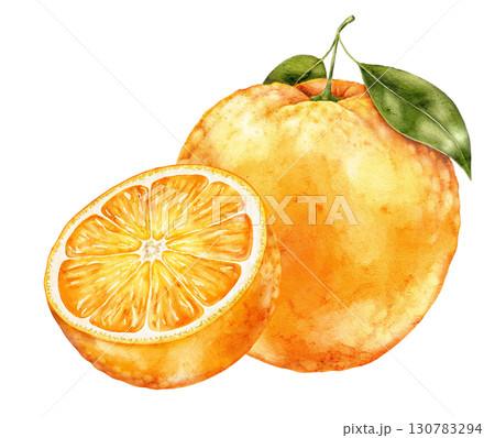 Watercolor illustration of whole orange fruit with half slice and green leaves on white background. Fresh and colorful citrus element ideal for packaging, textiles and creative prints. Watercolor illustration of whole orange fruit with half slice and green leaves on white background. Fresh and colorful citrus element ideal for packaging, textiles and creative prints. 130783294