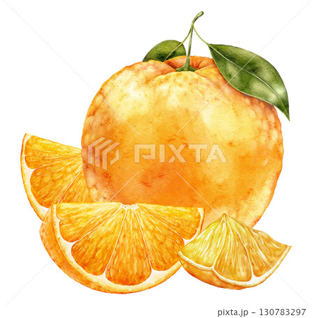 Watercolor illustration of whole orange fruit with half slice and green leaves on white background. Fresh and colorful citrus element ideal for packaging, textiles and creative prints. 130783297