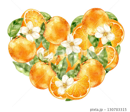 Watercolor heart made of oranges, slices, leaves and blossoms on white background. Fresh fruity design with juicy citrus style, ideal for juice bar posters, cocktail menus, summer fruit stickers 130783315