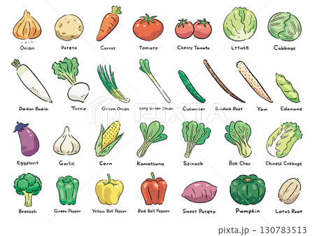 手描きの野菜のセット_名称入(英語) 手描きの野菜のセット_名称入(英語) 130783513