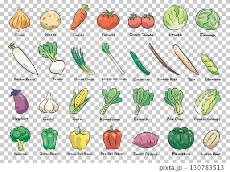 手繪蔬菜套裝(含名稱)(英文) 手繪蔬菜套裝(含名稱)(英文) 130783513