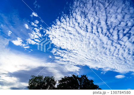 雲の種類　高層にできる雲 巻積雲　大空に広がる巻積雲と巻層雲 130784580