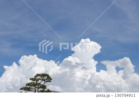 青空に高く立ち登る入道雲 130784911