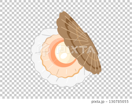 口が開いている茶色い殻付きのホタテ貝のイラスト 130785055