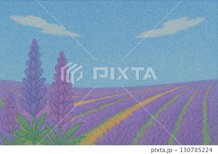 ラベンダー畑 青空 砂絵 ラベンダー畑 青空 砂絵 130785224