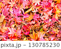 もみじの落ち葉 130785230